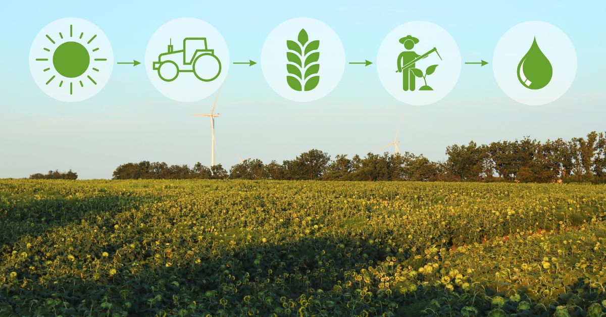 Organic Energy Solutions: A Sustainable Path to Clean Energy in Kenya