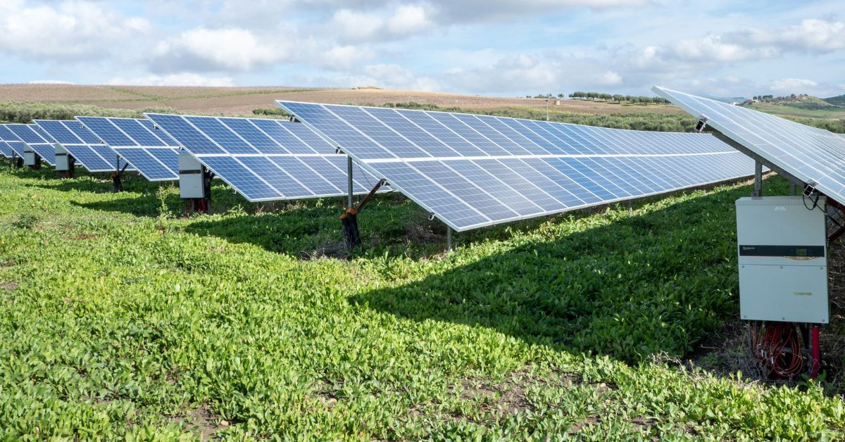 Promoting Clean Energy in Kenya: ACEECA’s Vision for a Sustainable Future