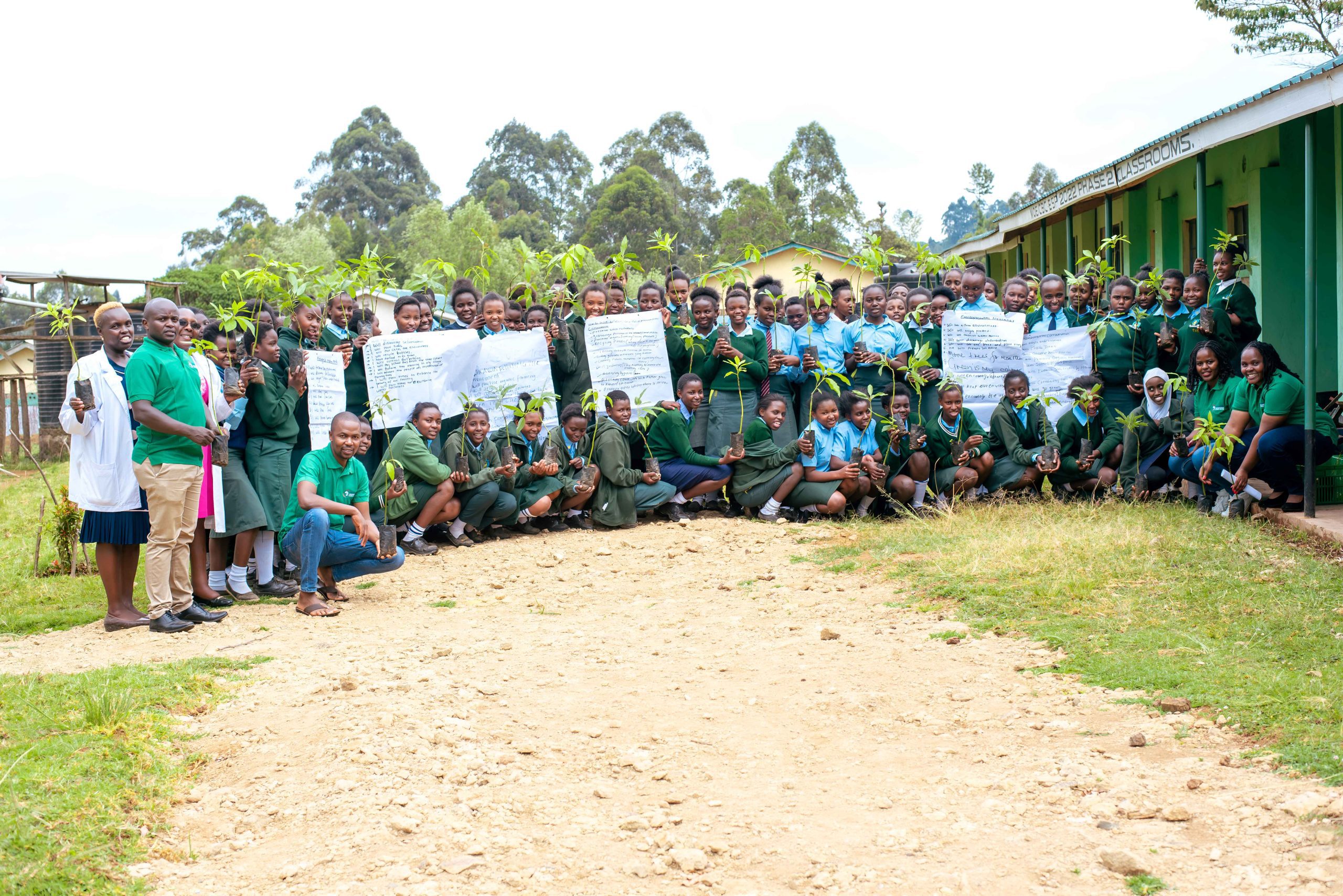 School Greening Programme