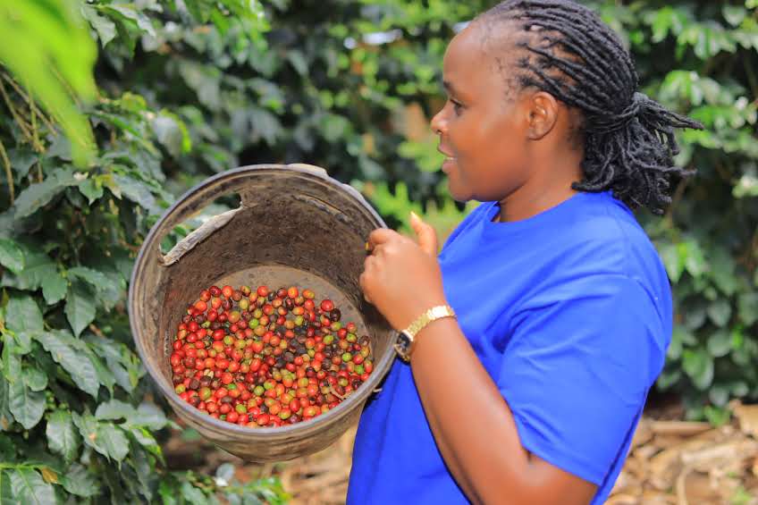 Women-Led Fruit Farming for Nutrition and Economic Growth Project