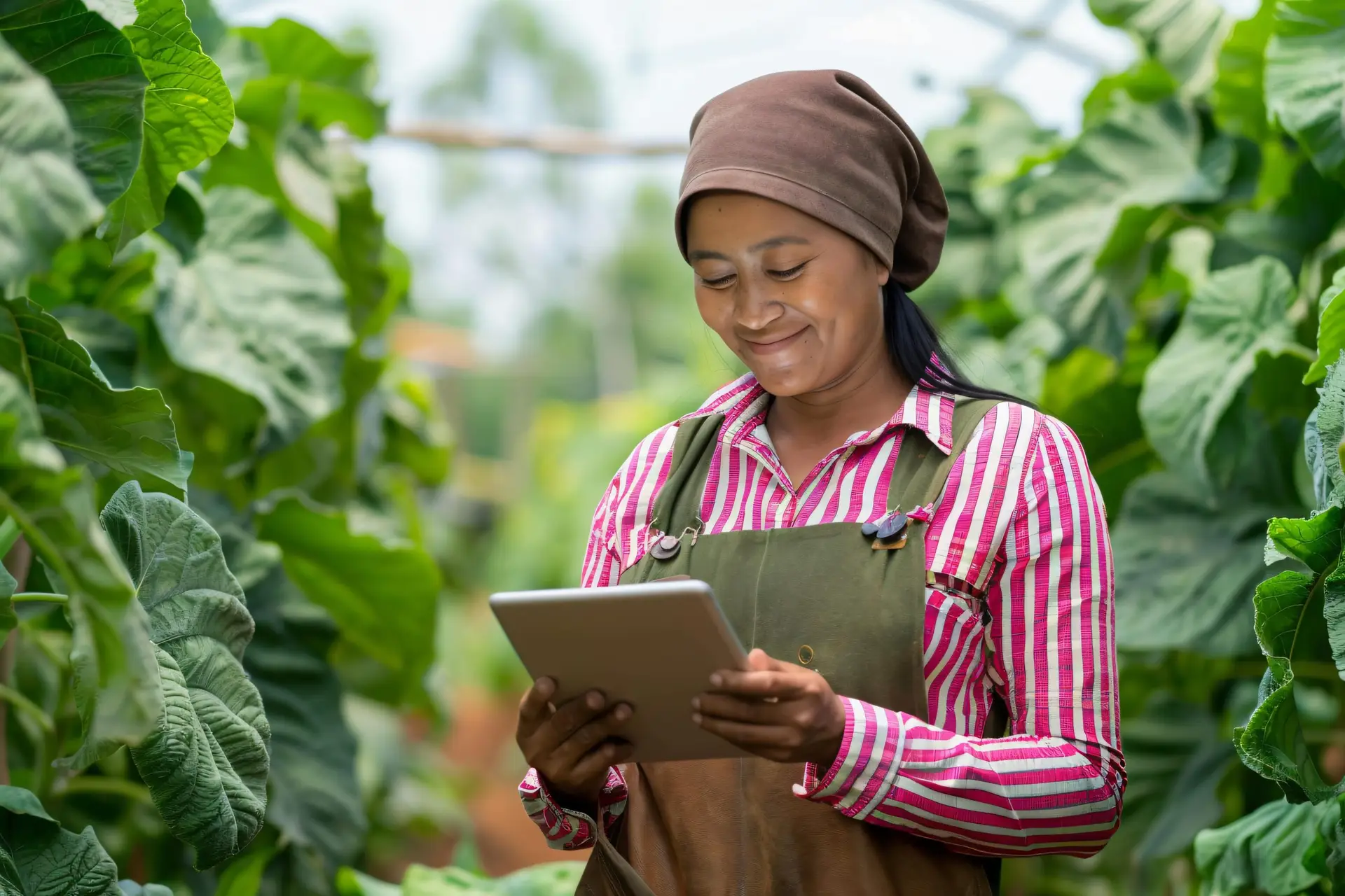 Farmers Digital Market (FDM) Project