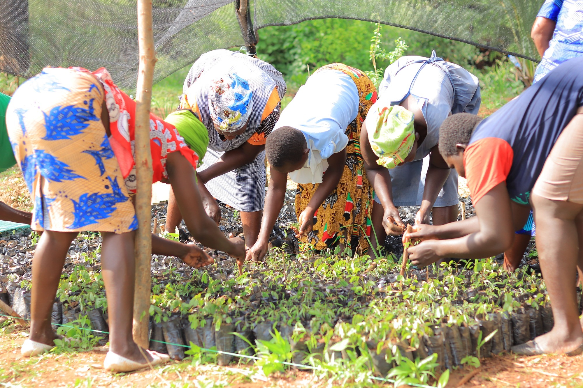 What does climate action mean for everyday communities across Kenya