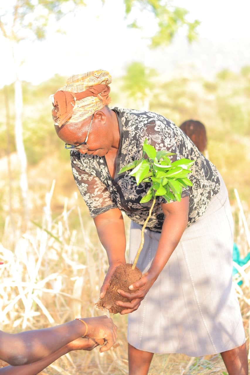 Woman holding tree seedling
