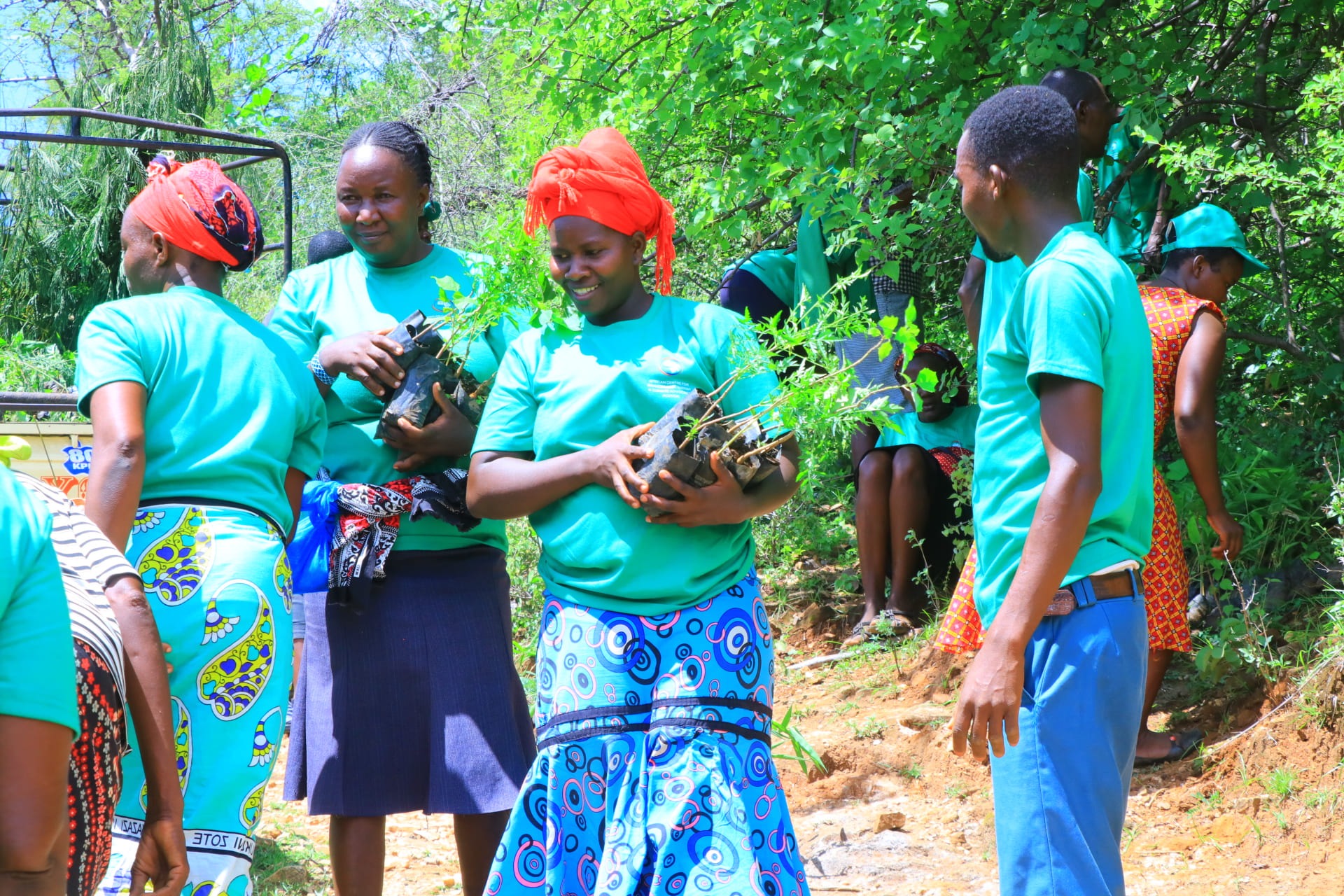 Scaling Ecosystem Restoration Through Community Stewardship: ACEECA Plants 5,000 Trees Along River Gituma