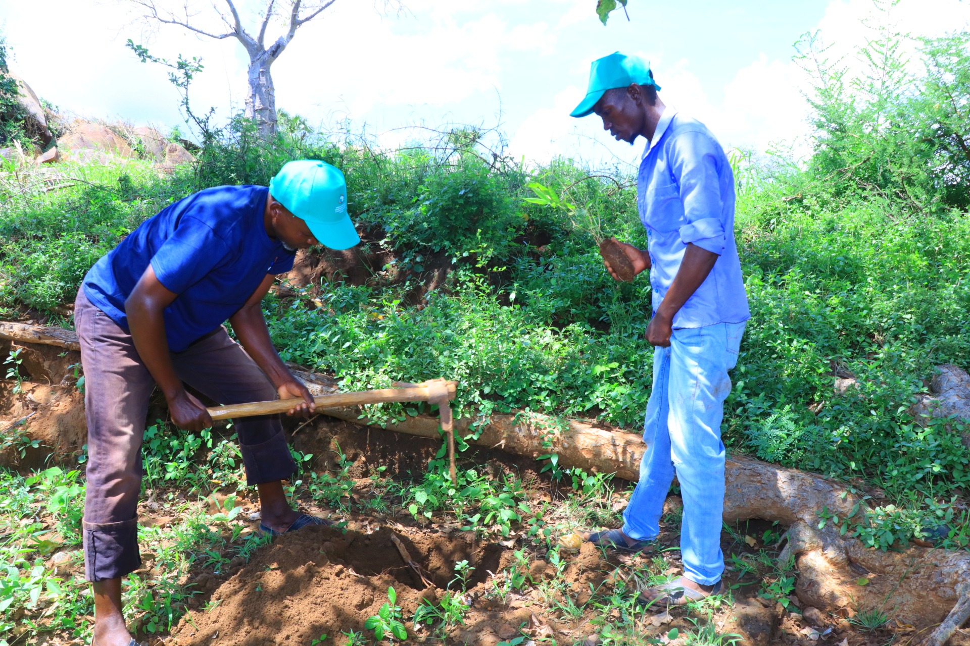 International Day for Biological Diversity 2026: Local Action Driving Global Impact